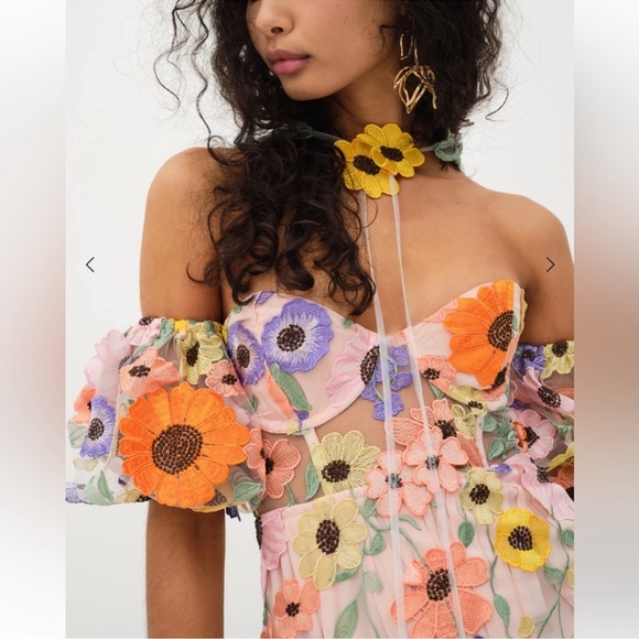 For Love & Lemons Floral Embroidered Sheer Mini Dress in Pastel Multi - Picture 5 of 11